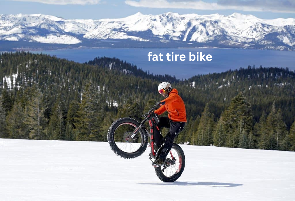 fat tire bike
