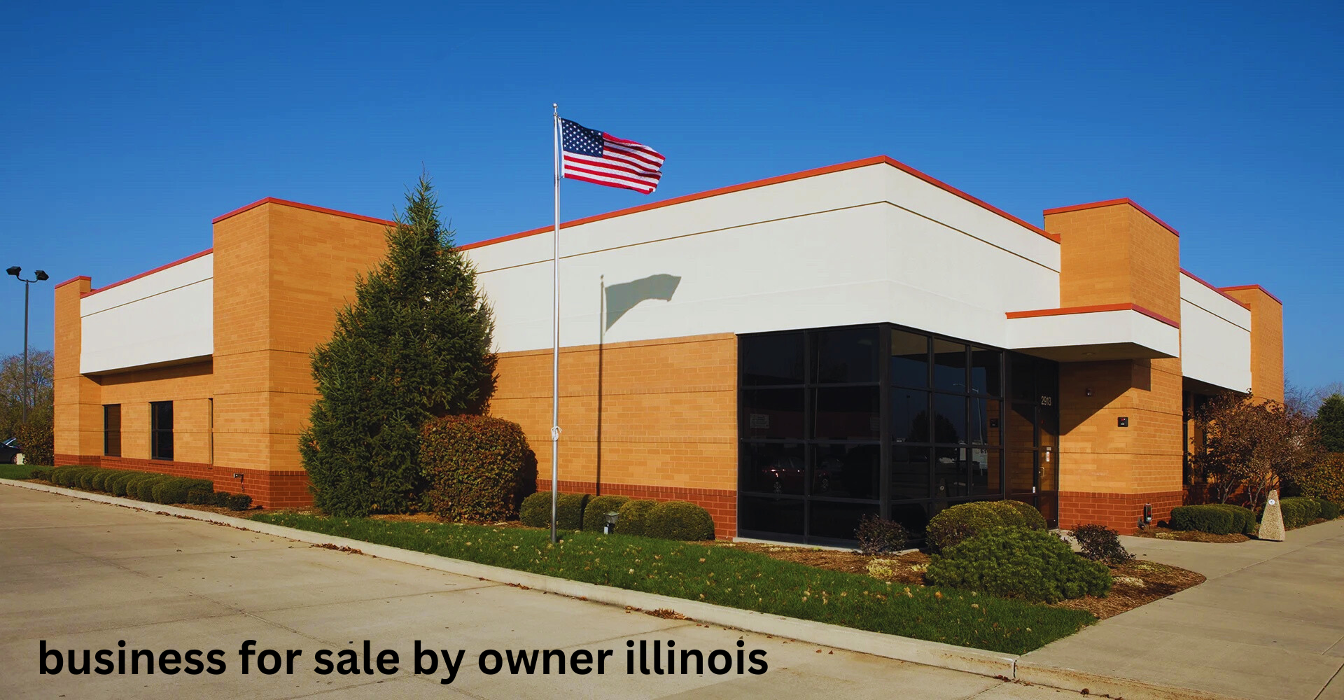 business for sale by owner illinois